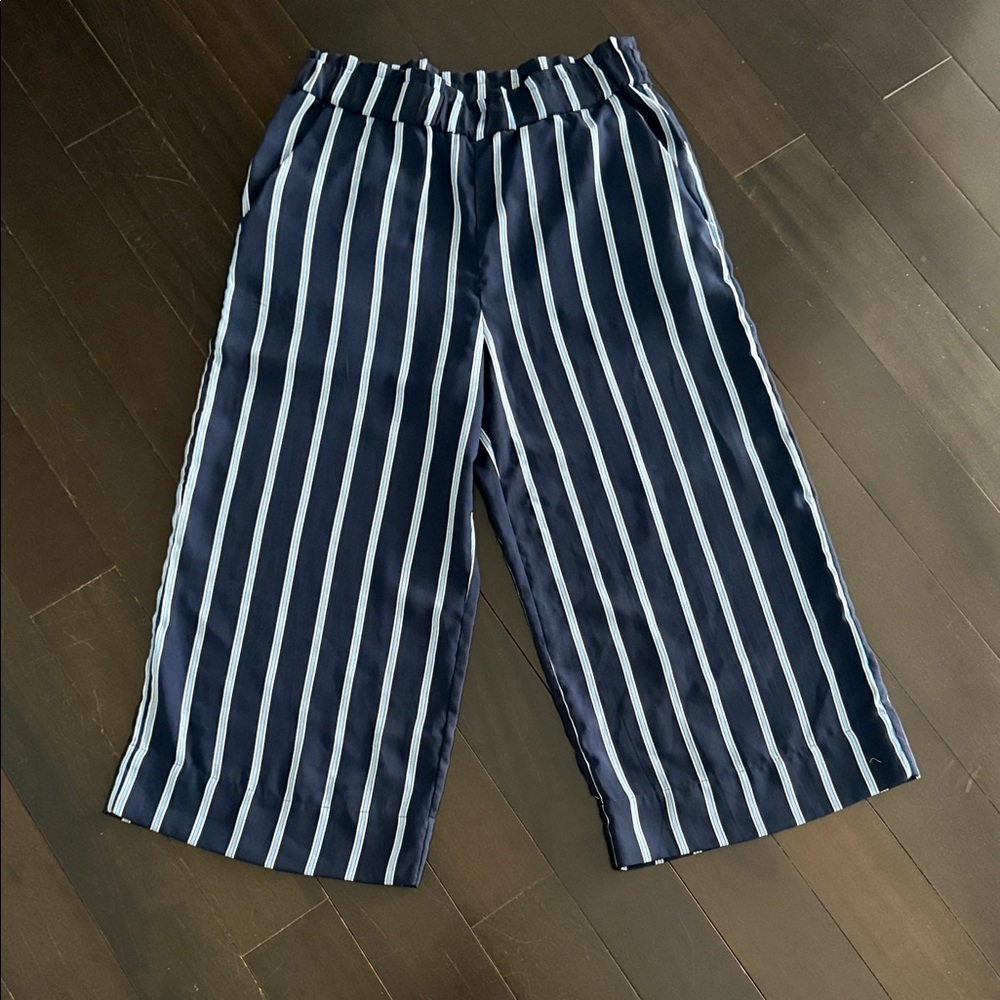 H&M Dark Blue and White Striped Pants